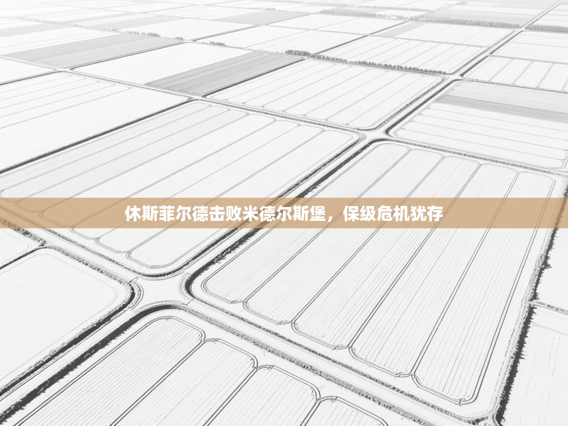 休斯菲尔德击败米德尔斯堡,保级危机犹存 第1张