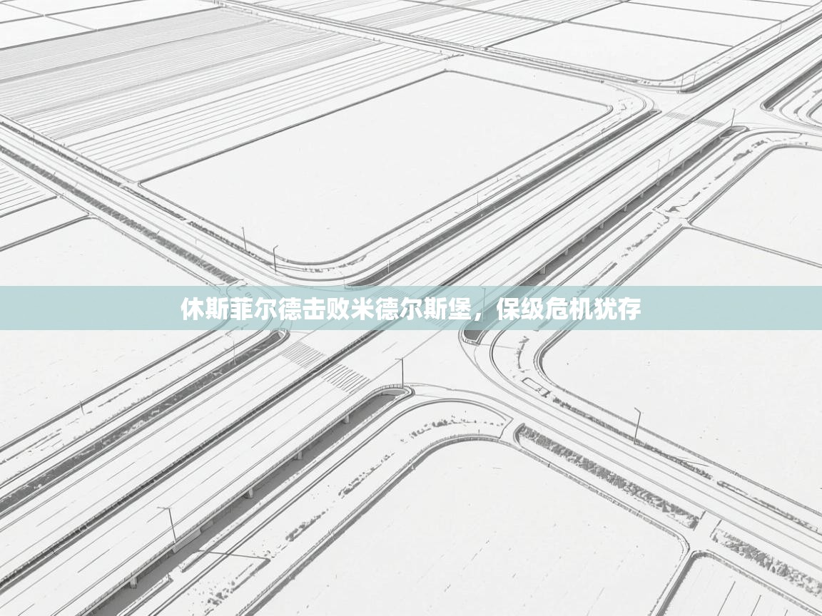 休斯菲尔德击败米德尔斯堡,保级危机犹存 第2张